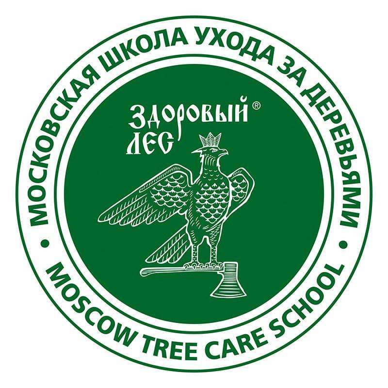 Московская школа ухода за деревьями «Здоровый лес»